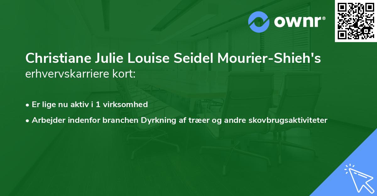 Christiane Julie Louise Seidel Mourier-Shieh's erhvervskarriere kort