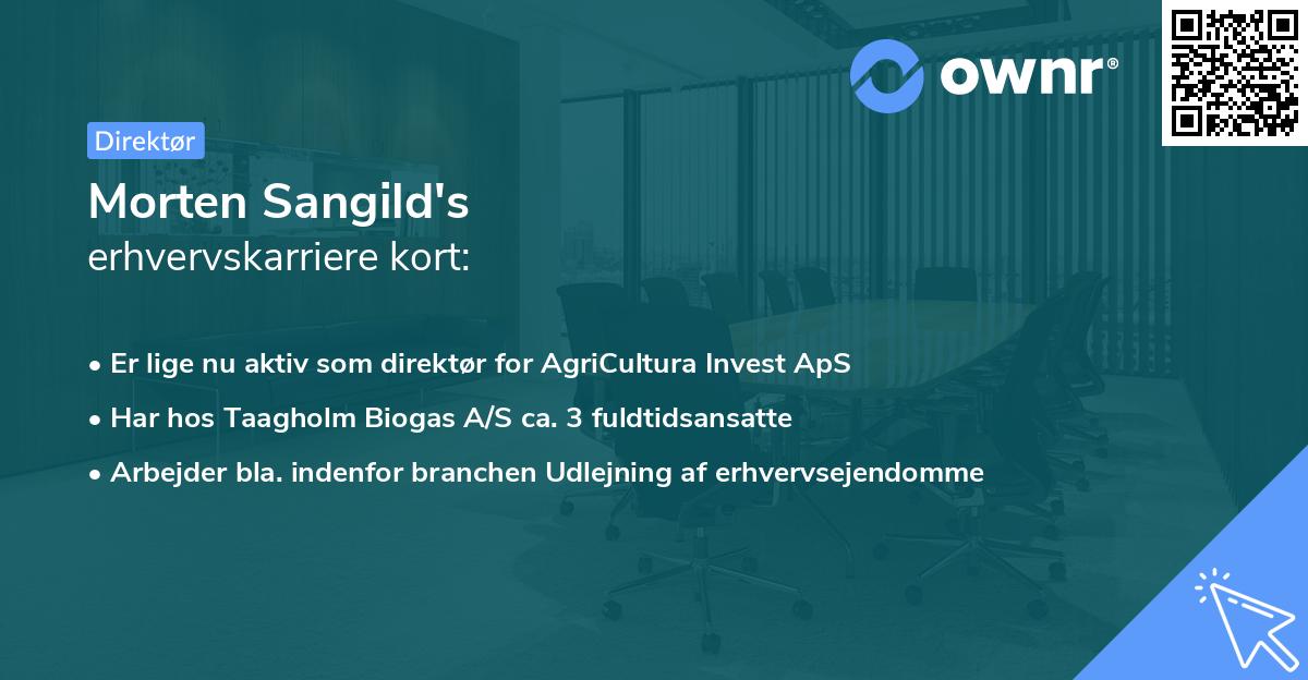 Morten Sangild's erhvervskarriere kort