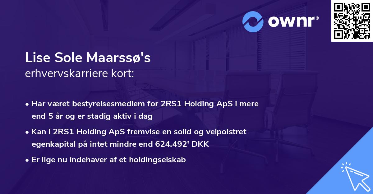 Lise Sole Maarssø's erhvervskarriere kort