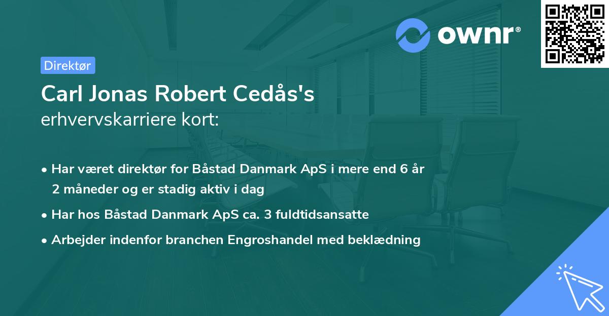 Carl Jonas Robert Cedås's erhvervskarriere kort