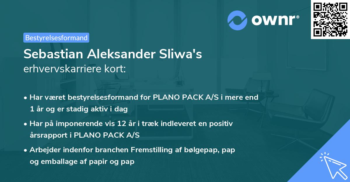 Sebastian Aleksander Sliwa's erhvervskarriere kort