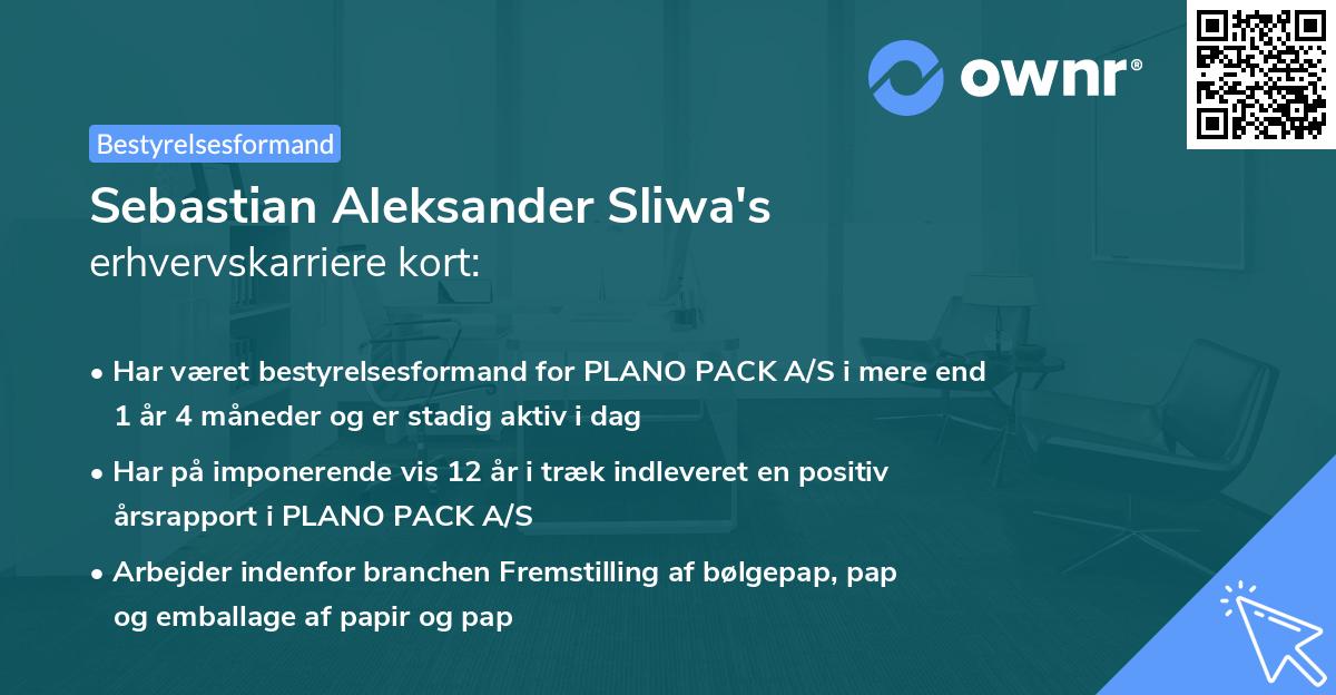 Sebastian Aleksander Sliwa's erhvervskarriere kort