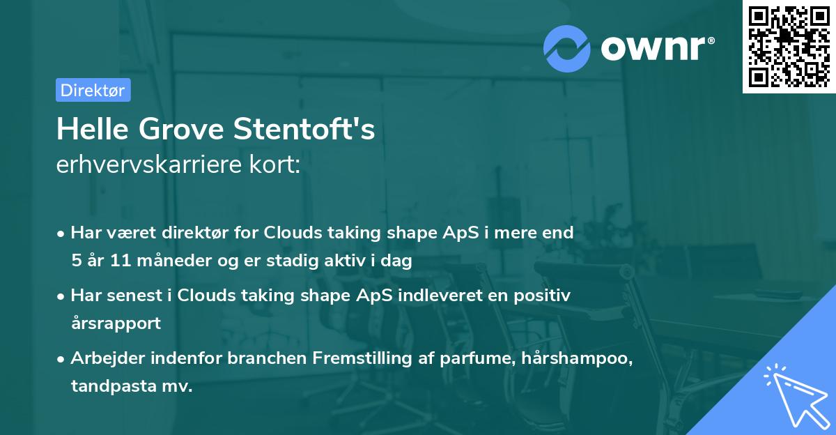 Helle Grove Stentoft's erhvervskarriere kort