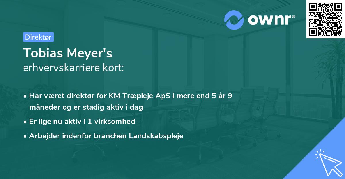 Tobias Meyer's erhvervskarriere kort