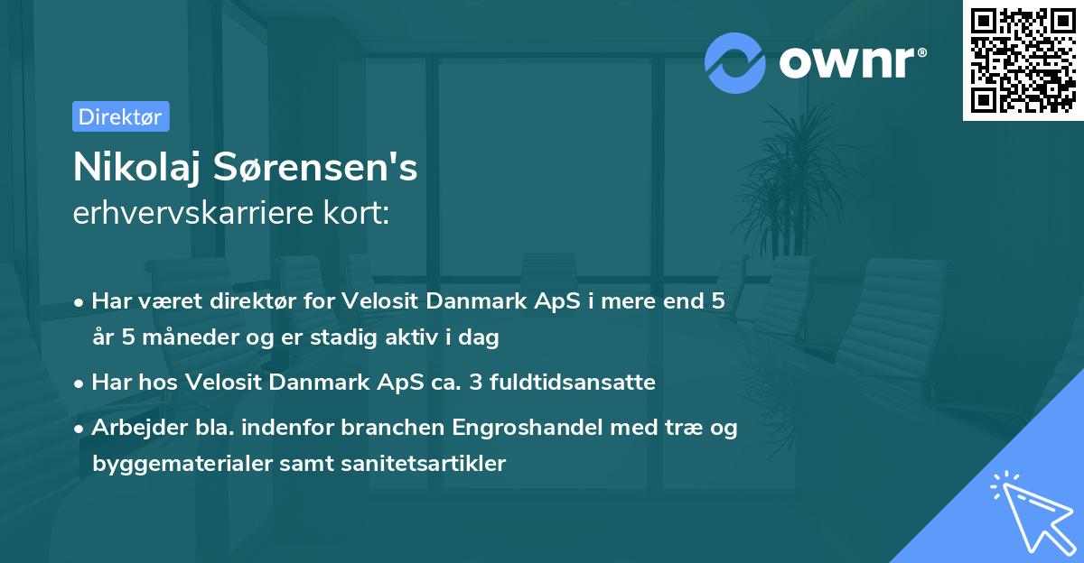 Nikolaj Sørensen's erhvervskarriere kort