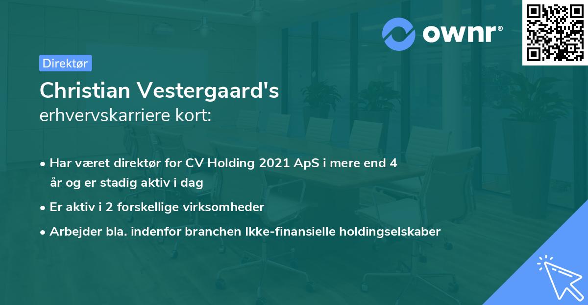 Christian Vestergaard's erhvervskarriere kort