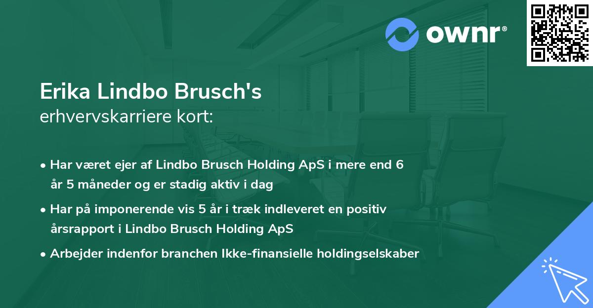 Erika Lindbo Brusch's erhvervskarriere kort