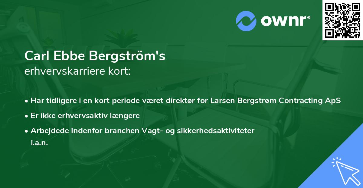 Carl Ebbe Bergström's erhvervskarriere kort