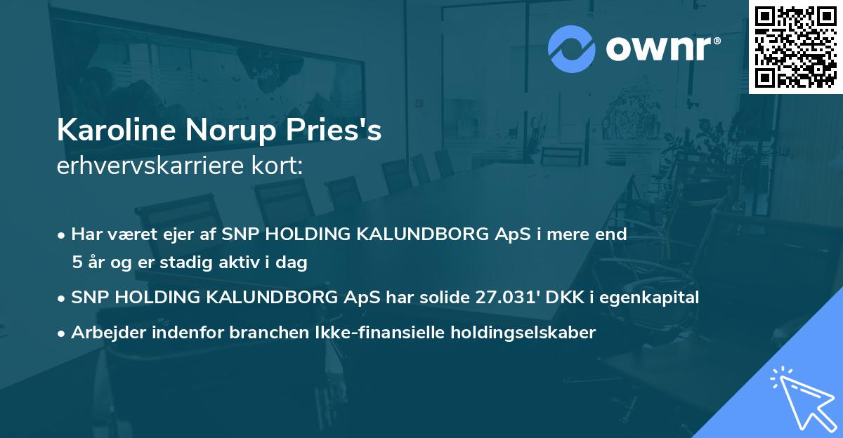 Karoline Norup Pries's erhvervskarriere kort