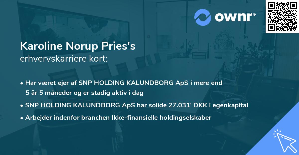 Karoline Norup Pries's erhvervskarriere kort