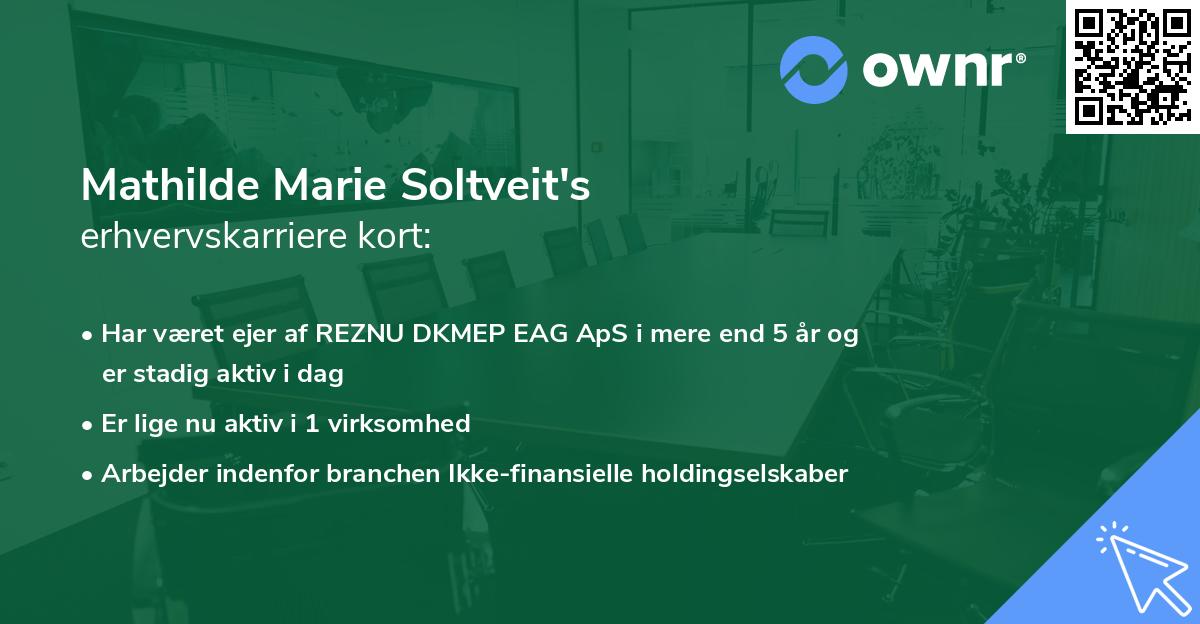 Mathilde Marie Soltveit's erhvervskarriere kort