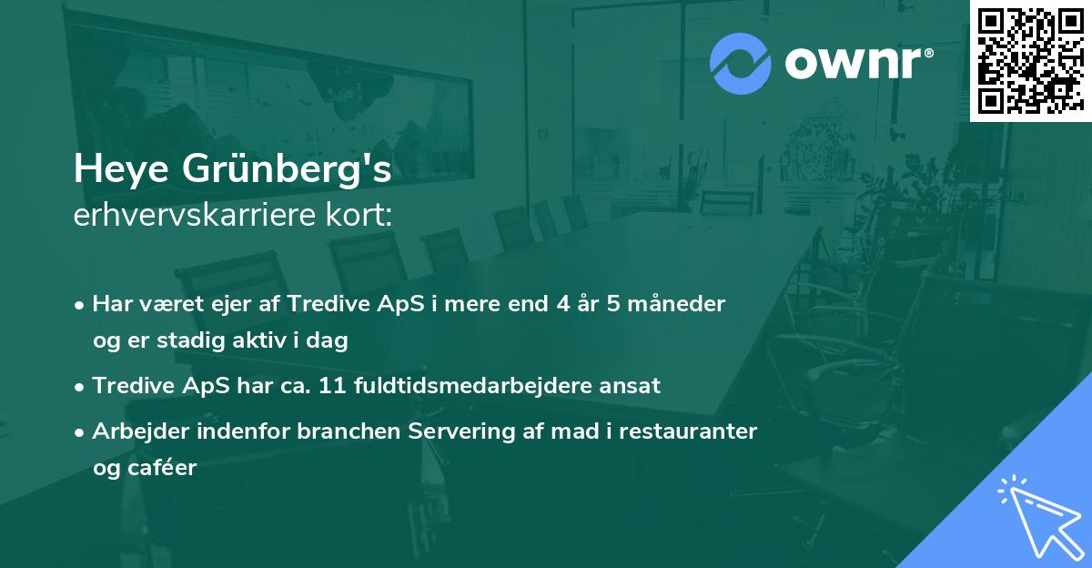 Heye Grünberg's erhvervskarriere kort