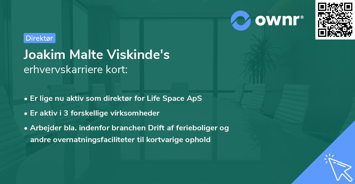 Joakim Malte Viskinde's erhvervskarriere kort