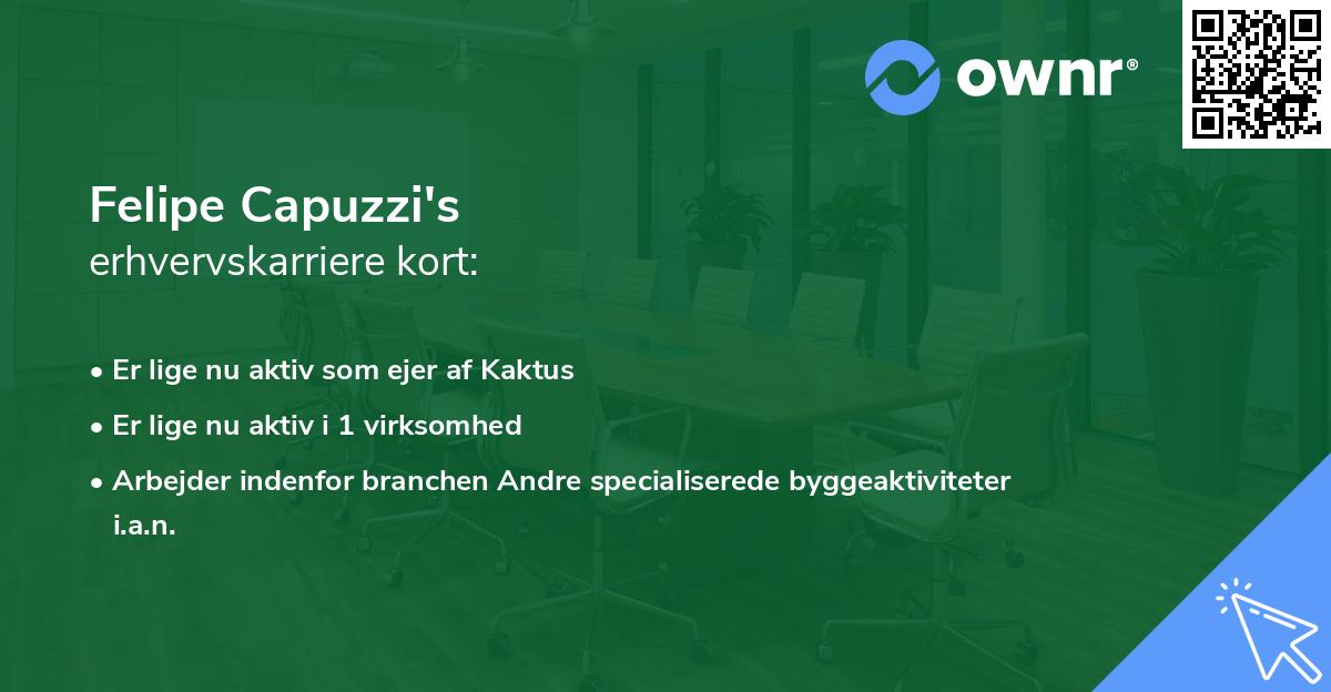 Felipe Capuzzi's erhvervskarriere kort