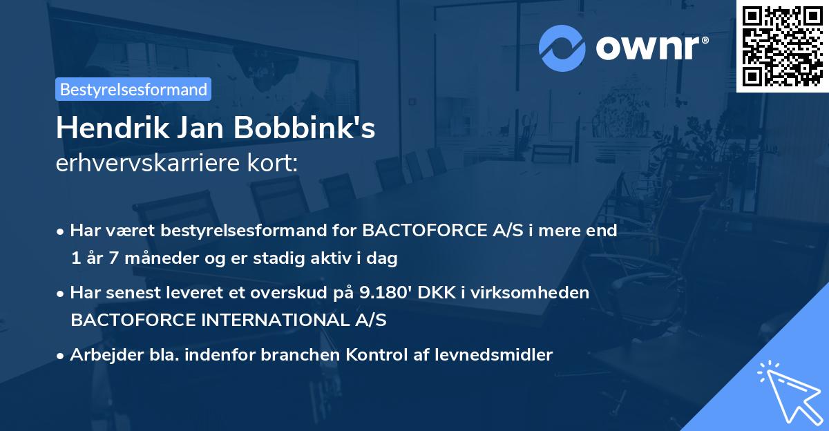 Hendrik Jan Bobbink's erhvervskarriere kort