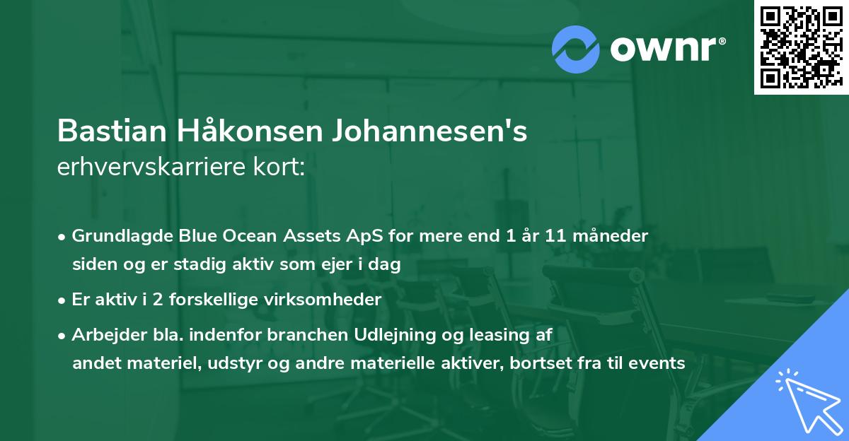 Bastian Håkonsen Johannesen's erhvervskarriere kort