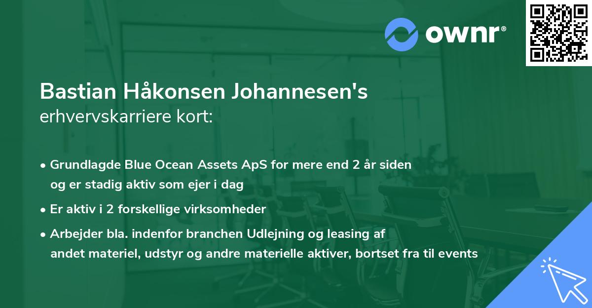 Bastian Håkonsen Johannesen's erhvervskarriere kort