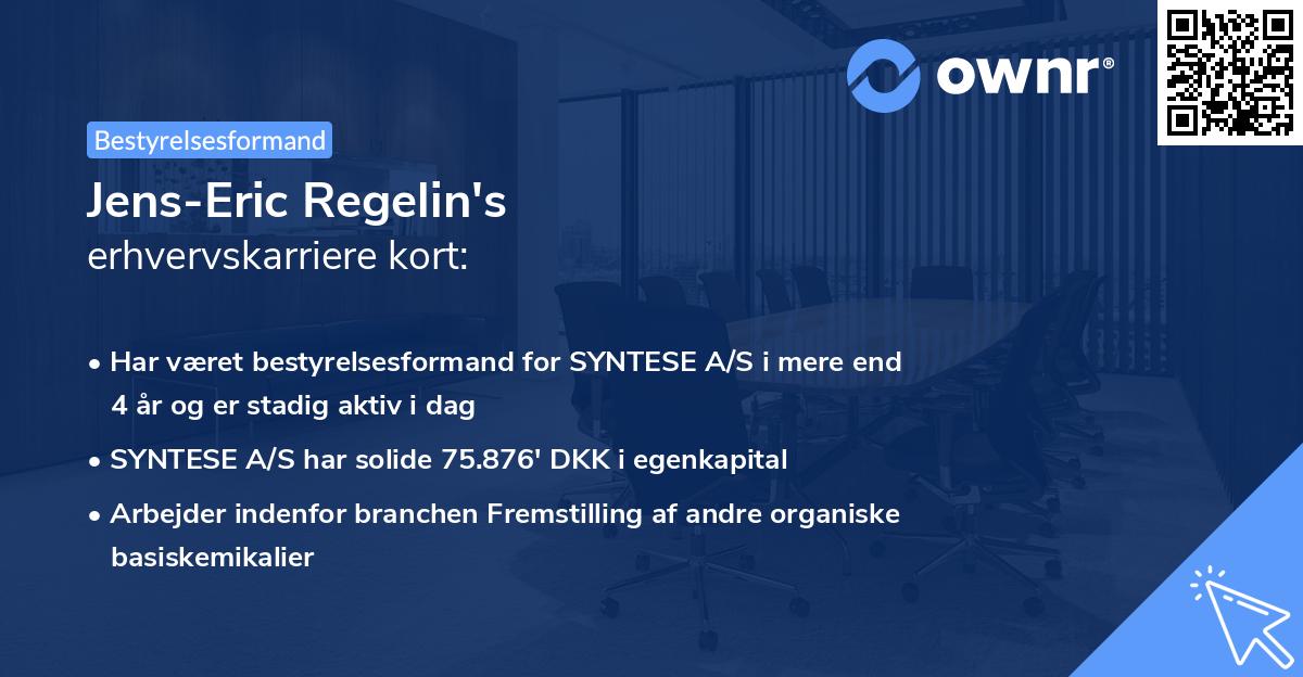Jens-Eric Regelin's erhvervskarriere kort