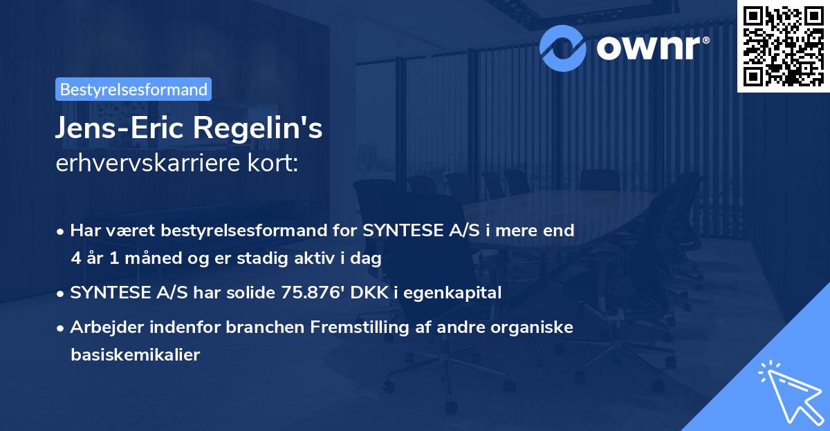 Jens-Eric Regelin's erhvervskarriere kort