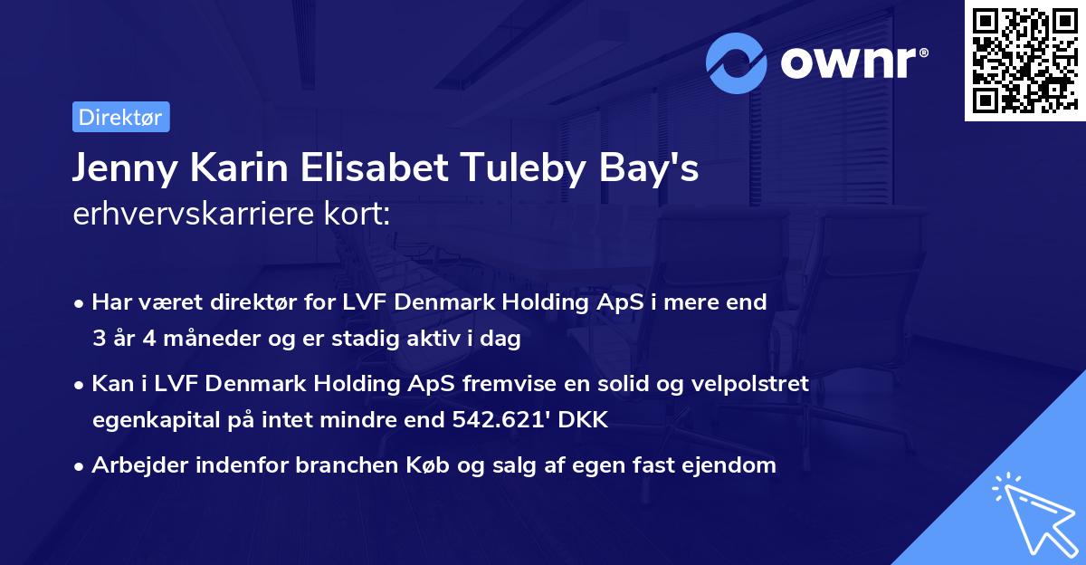 Jenny Karin Elisabet Tuleby Bay's erhvervskarriere kort