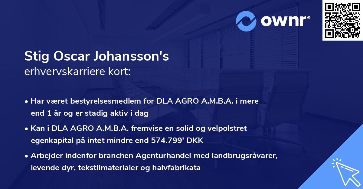 Stig Oscar Johansson's erhvervskarriere kort