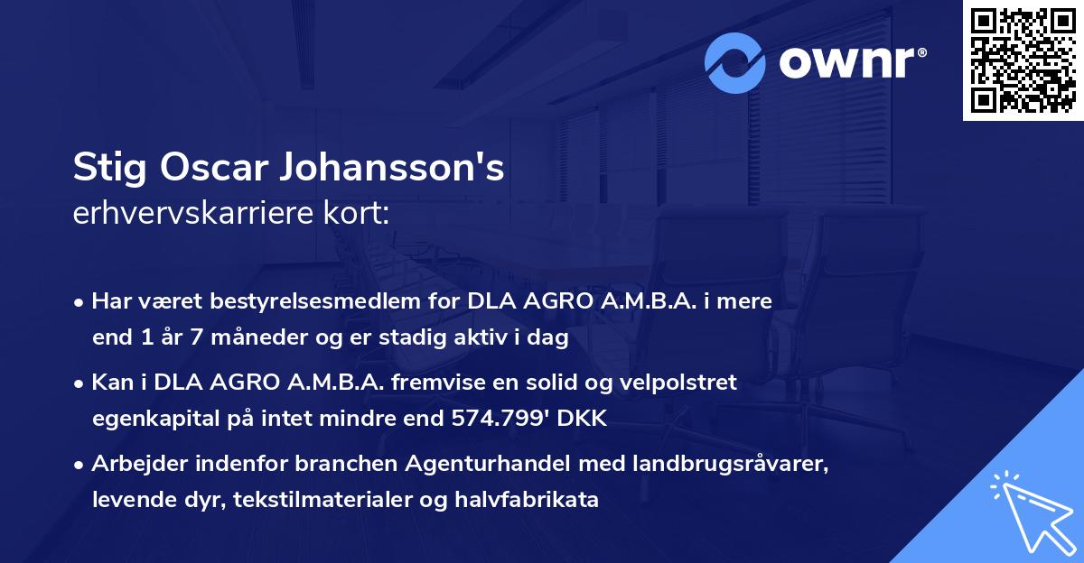 Stig Oscar Johansson's erhvervskarriere kort