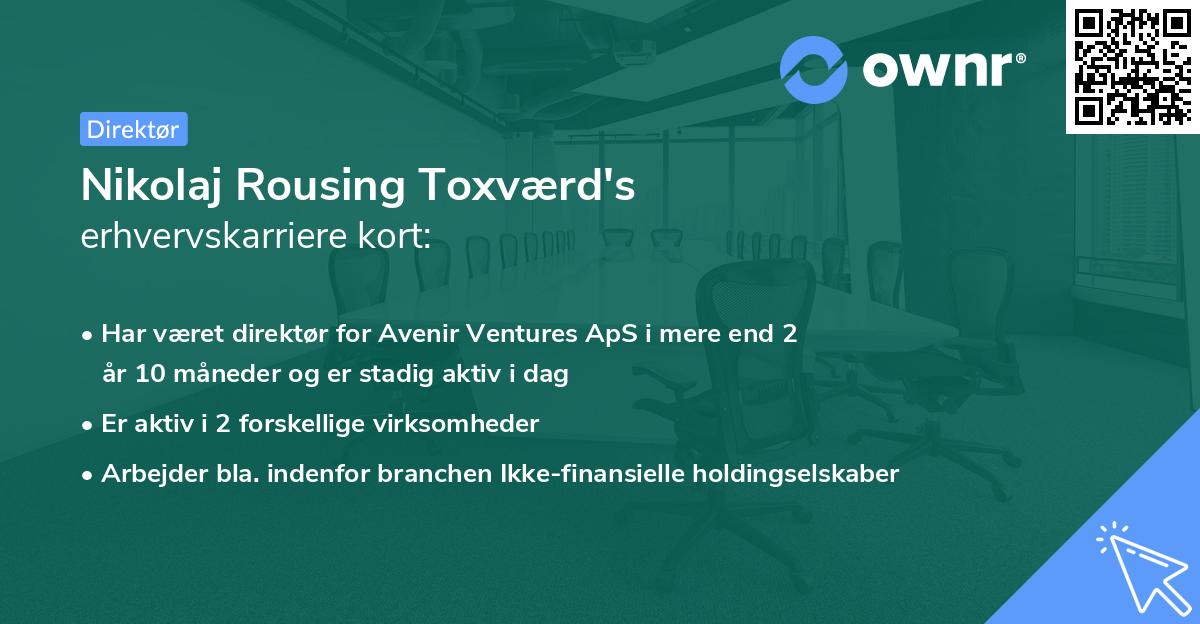 Nikolaj Rousing Toxværd's erhvervskarriere kort
