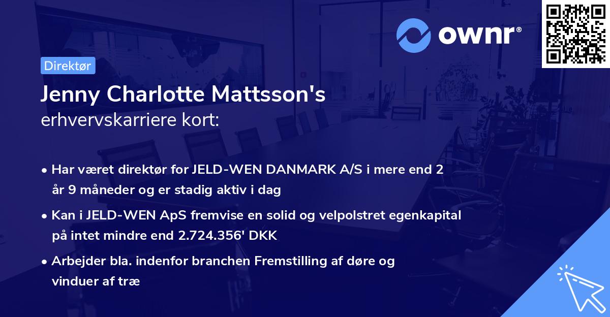 Jenny Charlotte Mattsson's erhvervskarriere kort
