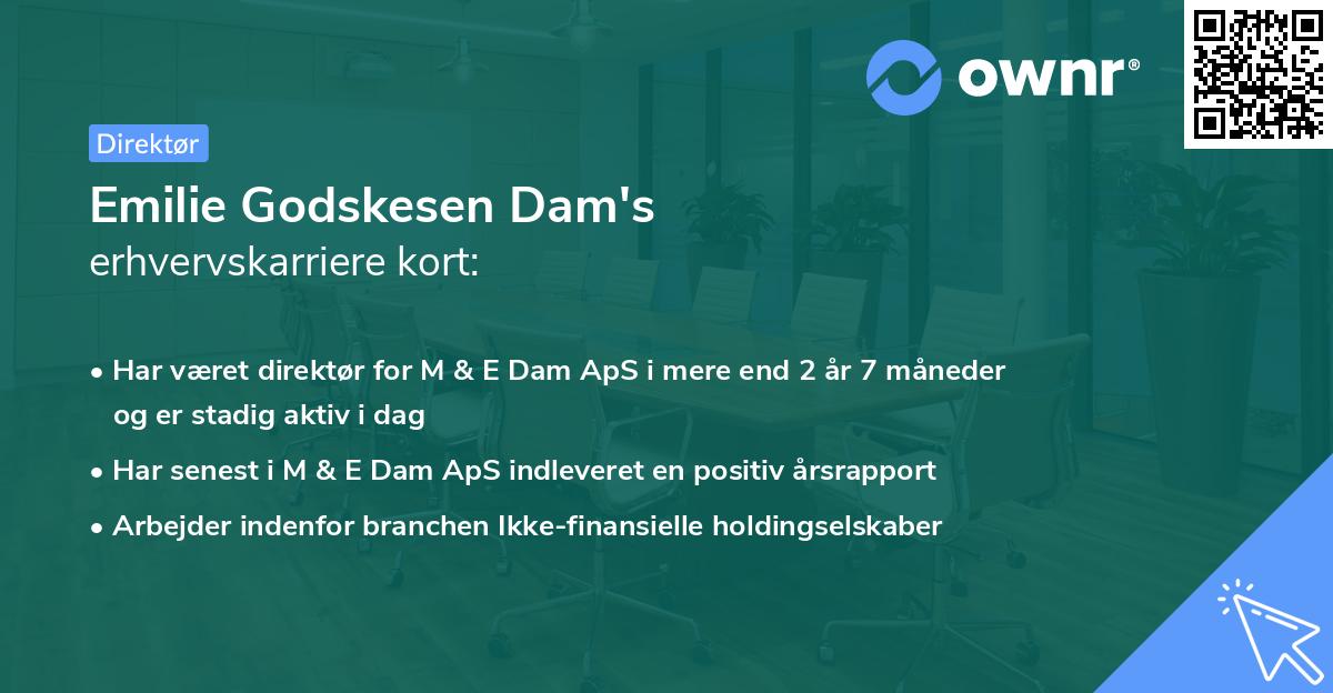 Emilie Godskesen Dam's erhvervskarriere kort