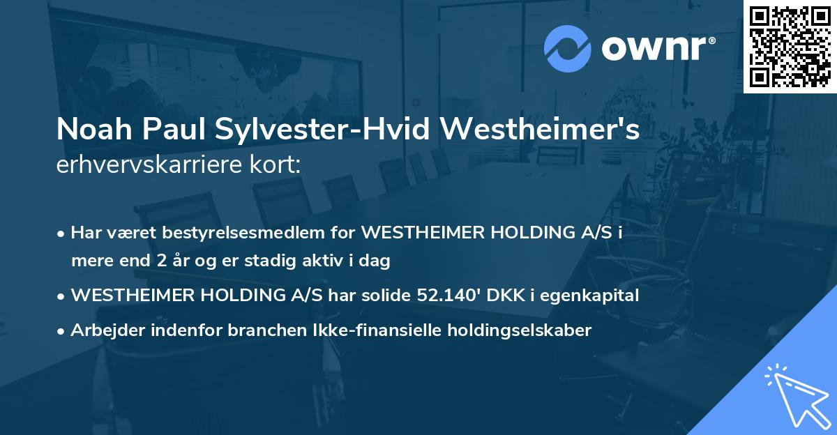 Noah Paul Sylvester-Hvid Westheimer's erhvervskarriere kort