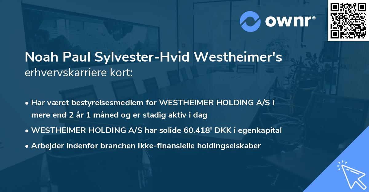 Noah Paul Sylvester-Hvid Westheimer's erhvervskarriere kort