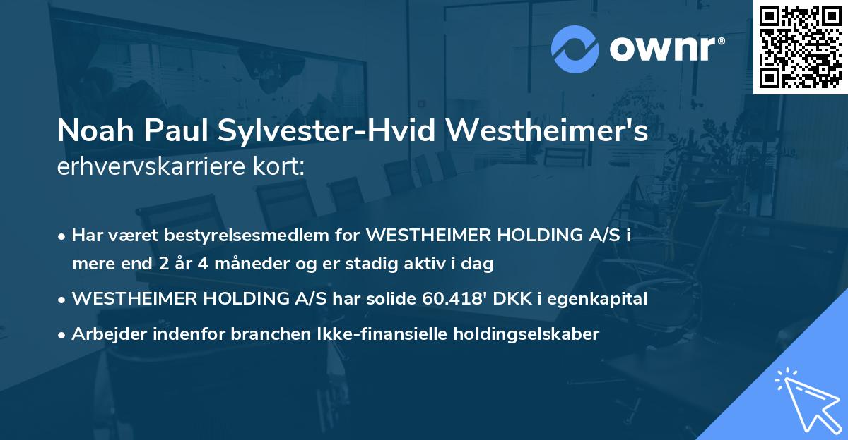 Noah Paul Sylvester-Hvid Westheimer's erhvervskarriere kort