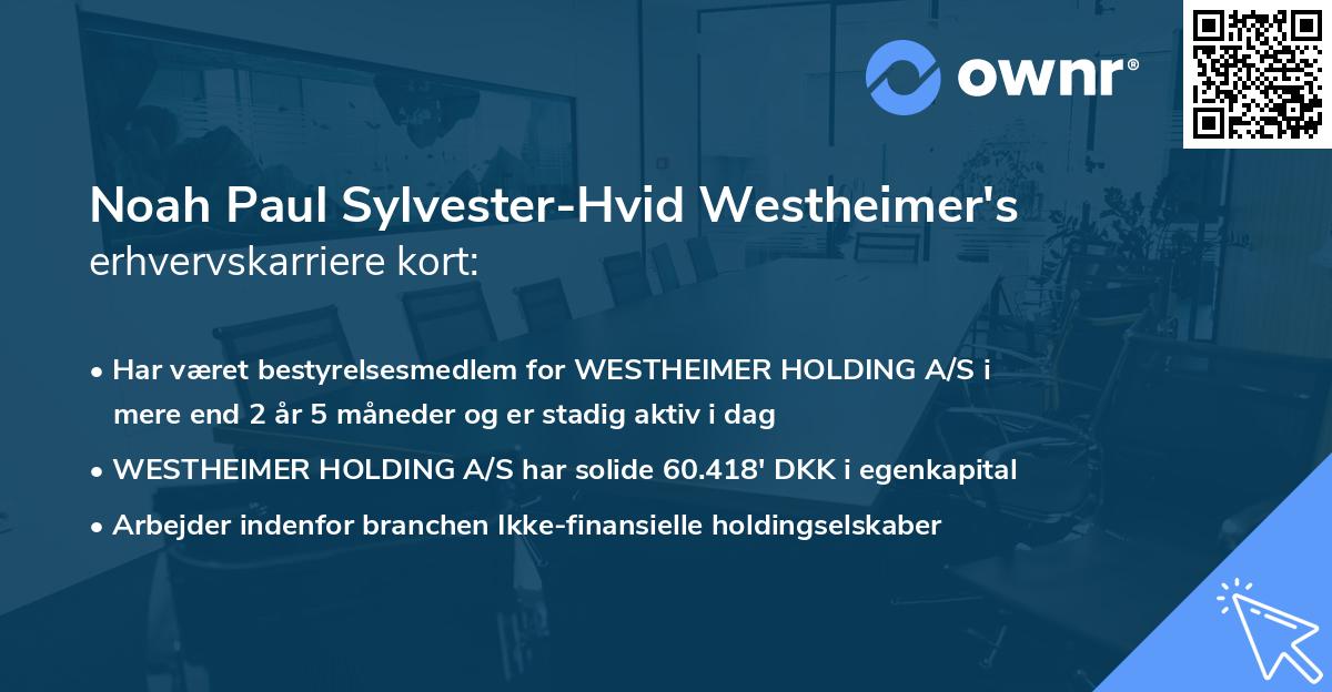 Noah Paul Sylvester-Hvid Westheimer's erhvervskarriere kort