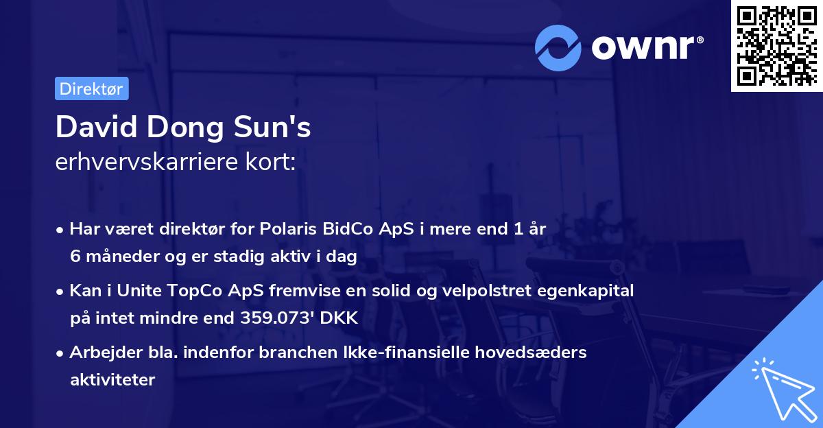 David Dong Sun's erhvervskarriere kort