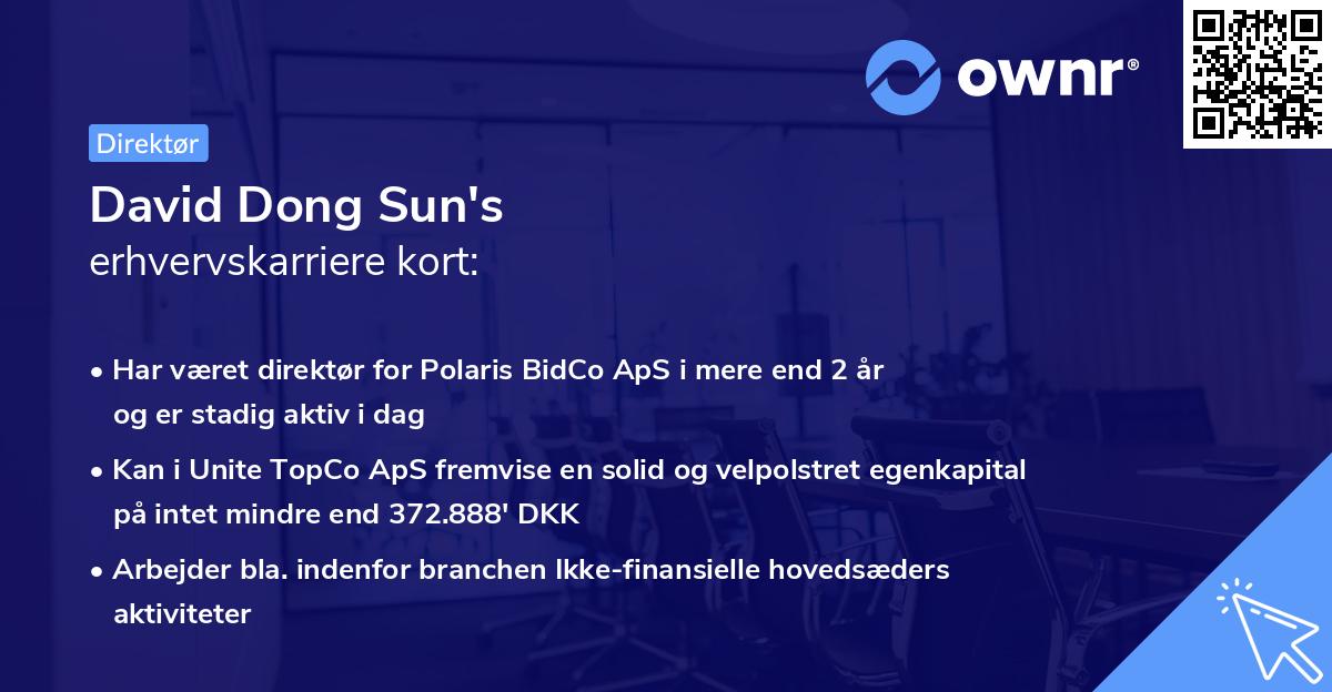 David Dong Sun's erhvervskarriere kort