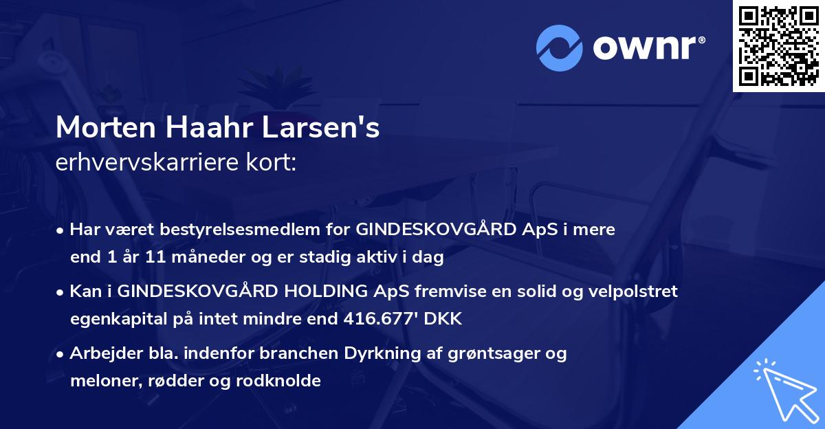 Morten Haahr Larsen's erhvervskarriere kort