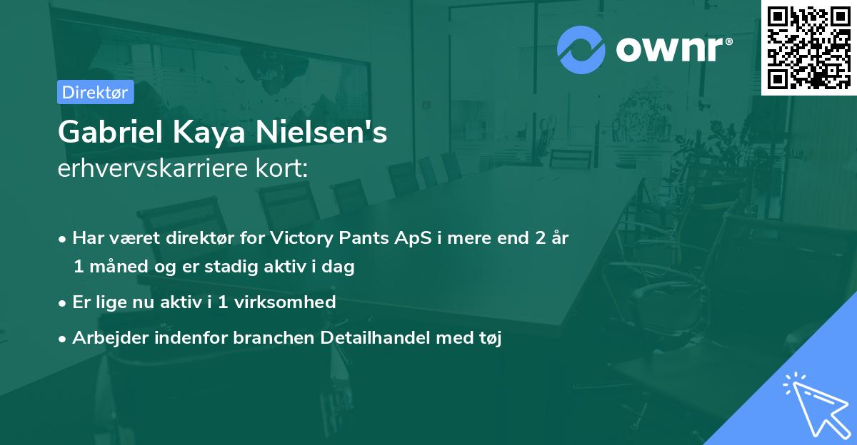 Gabriel Kaya Nielsen's erhvervskarriere kort