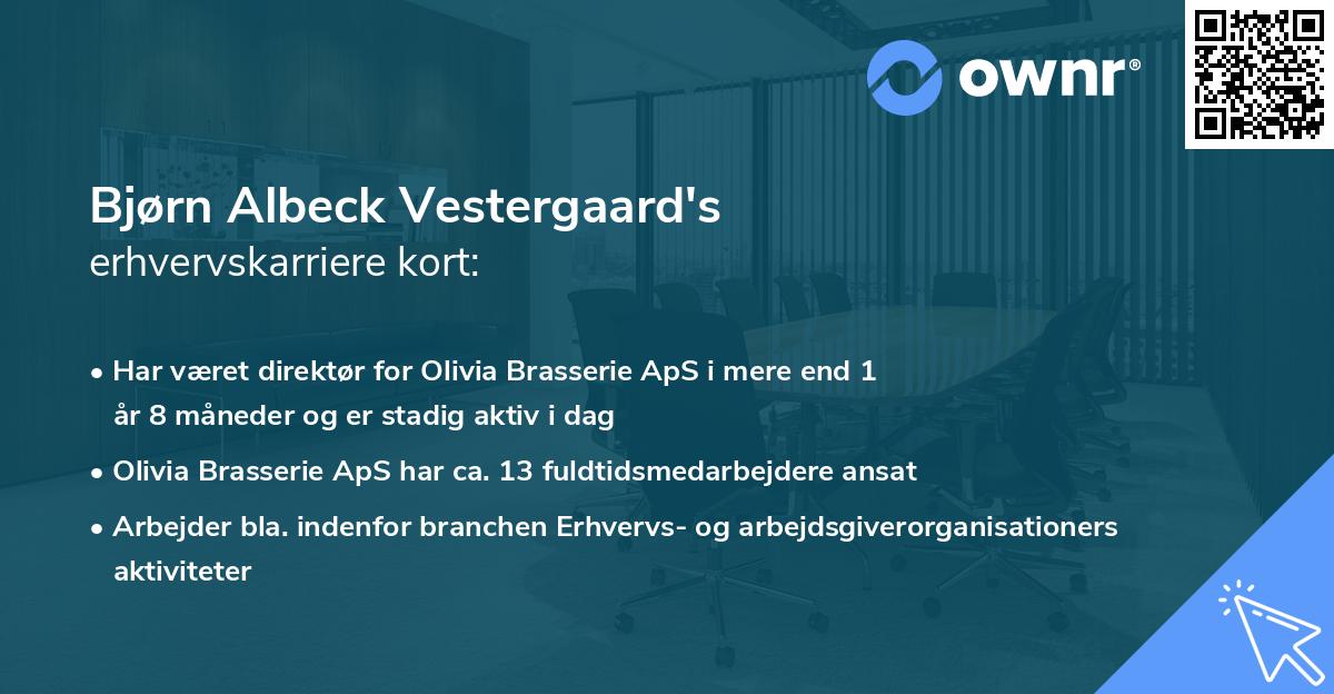 Bjørn Albeck Vestergaard's erhvervskarriere kort