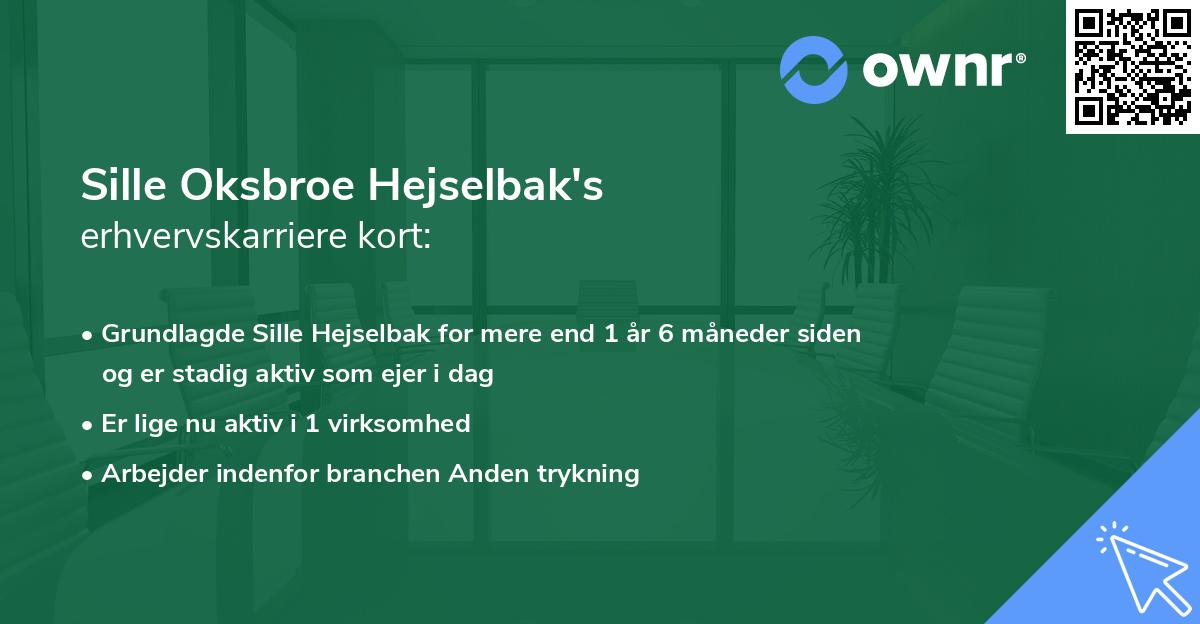 Sille Oksbroe Hejselbak's erhvervskarriere kort