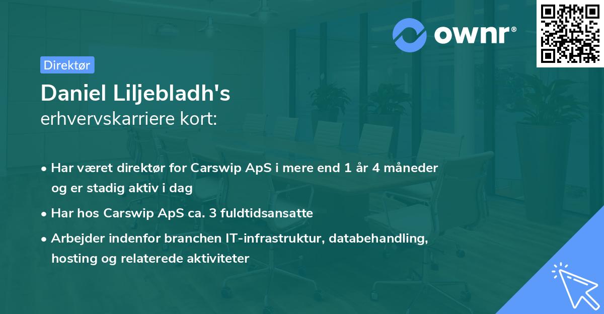 Daniel Liljebladh's erhvervskarriere kort