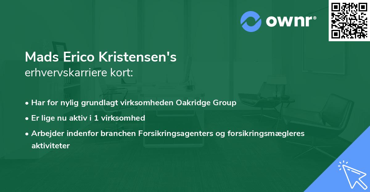 Mads Erico Kristensen's erhvervskarriere kort