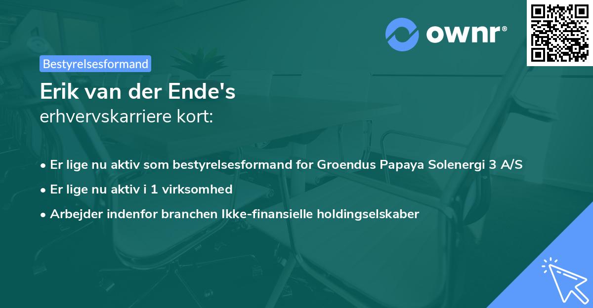 Erik van der Ende's erhvervskarriere kort