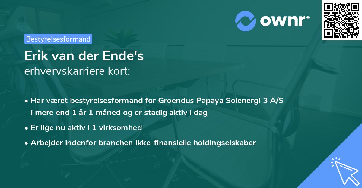 Erik van der Ende's erhvervskarriere kort