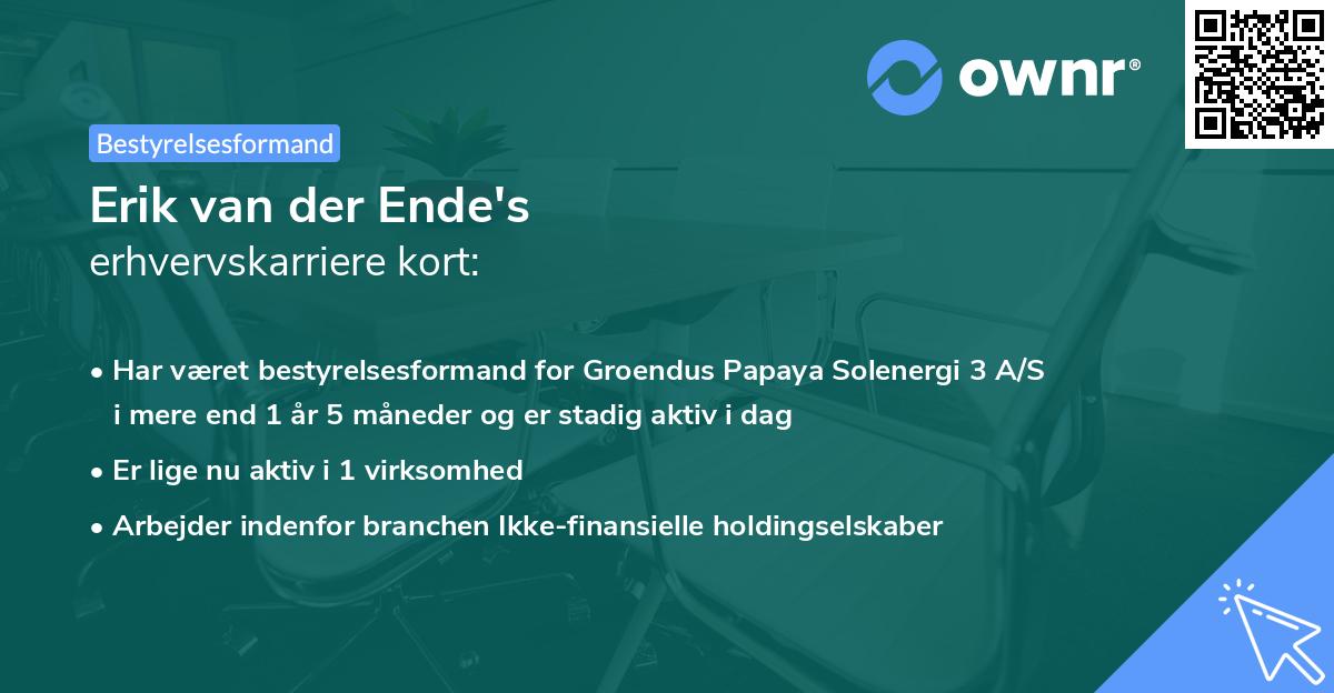 Erik van der Ende's erhvervskarriere kort