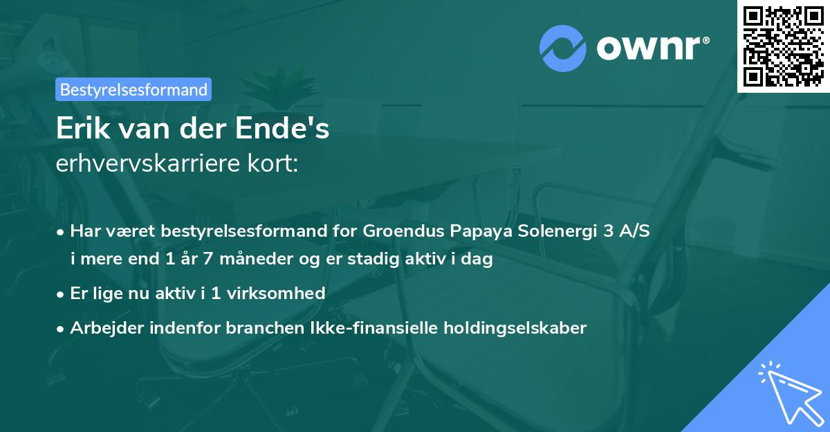 Erik van der Ende's erhvervskarriere kort