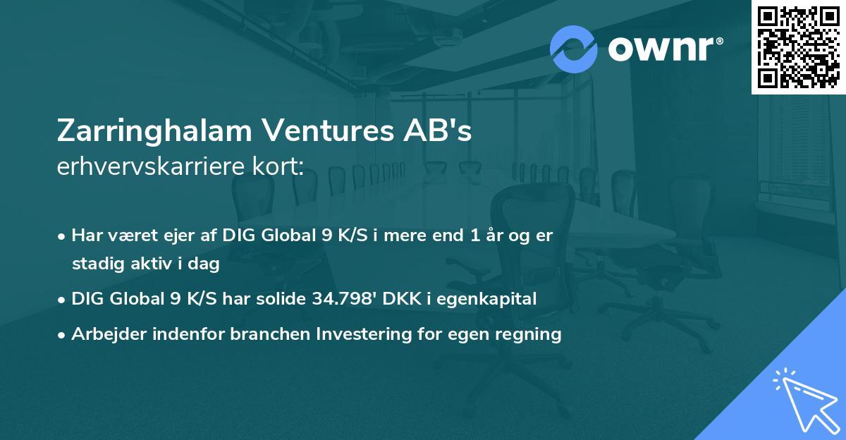 Zarringhalam Ventures AB's erhvervskarriere kort