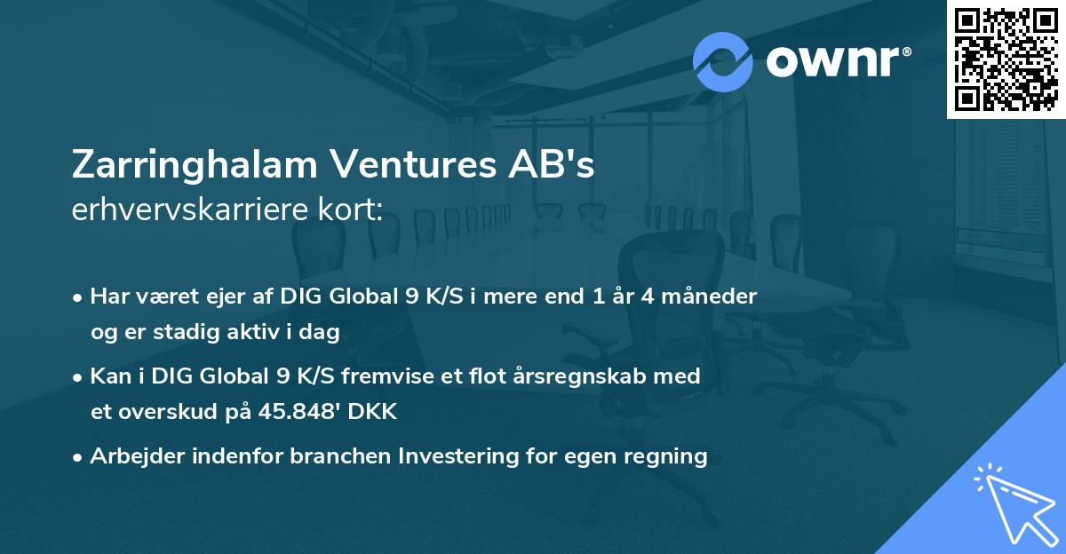 Zarringhalam Ventures AB's erhvervskarriere kort