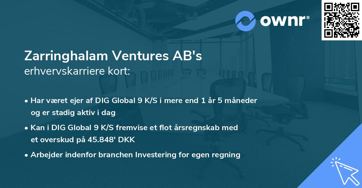 Zarringhalam Ventures AB's erhvervskarriere kort