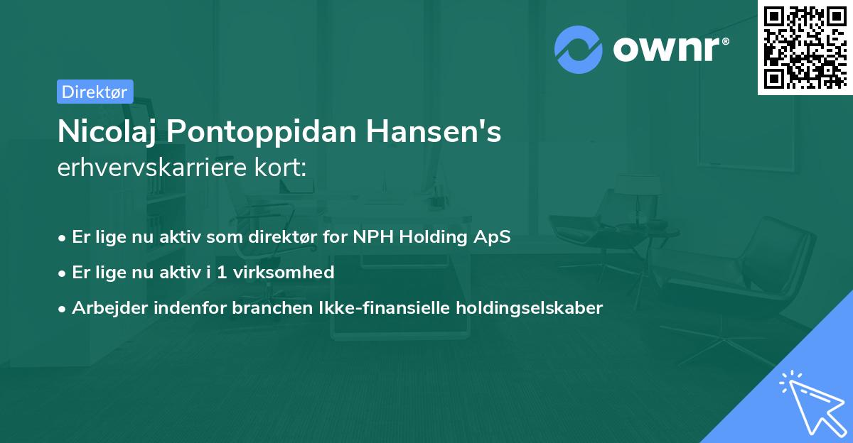 Nicolaj Pontoppidan Hansen's erhvervskarriere kort