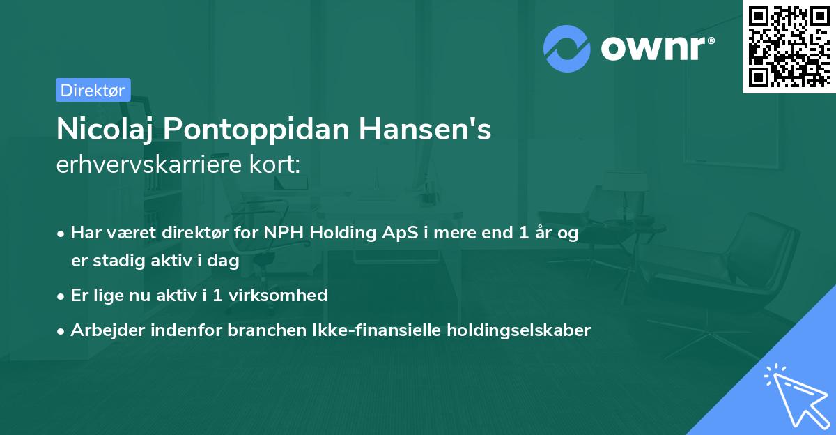 Nicolaj Pontoppidan Hansen's erhvervskarriere kort